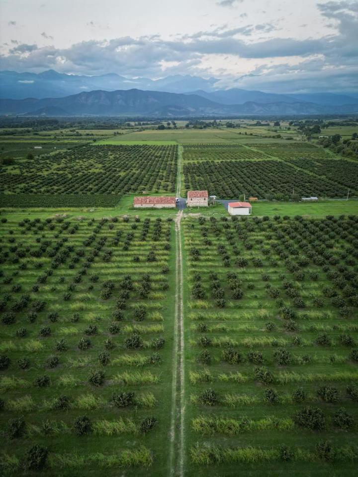 Mestvireni Telawi Exterior foto