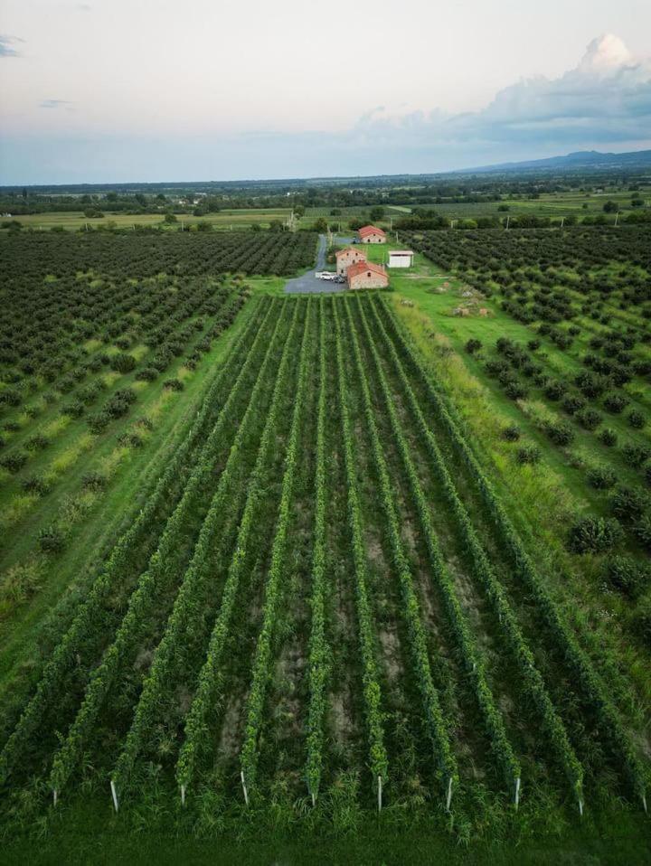 Mestvireni Telawi Exterior foto