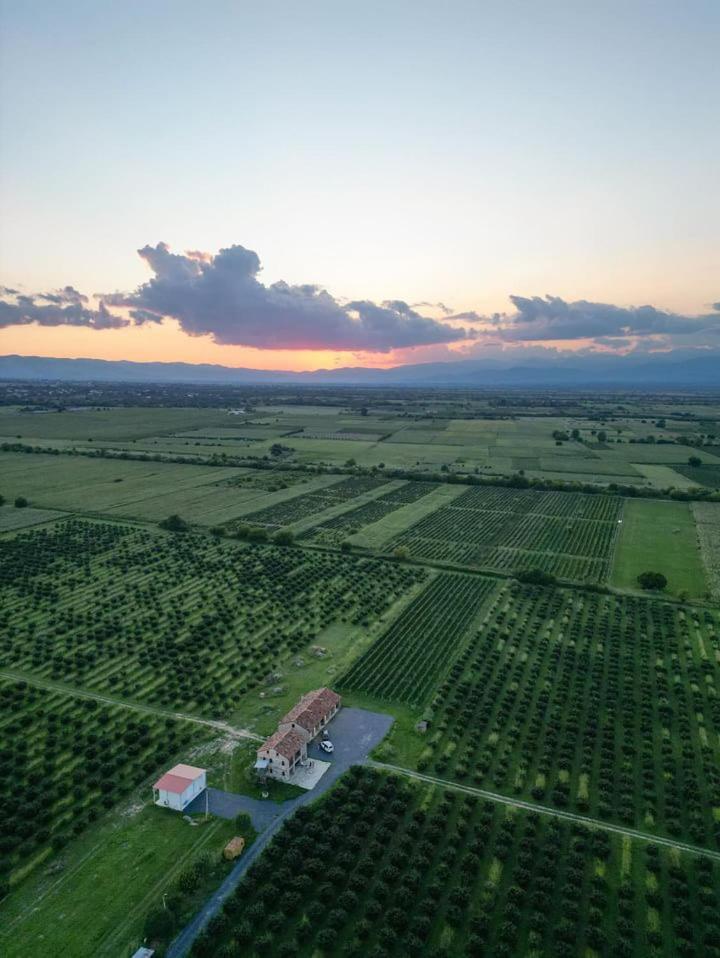 Mestvireni Telawi Exterior foto