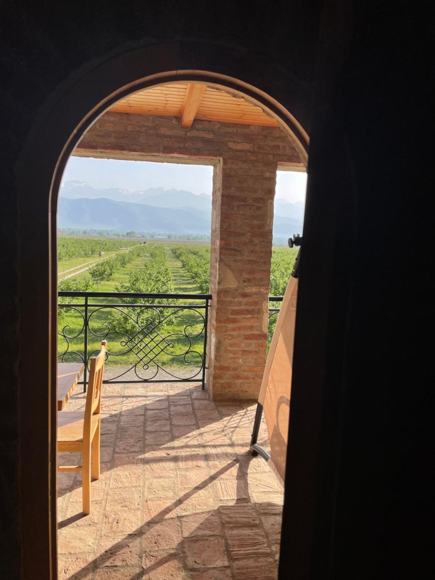 Mestvireni Telawi Exterior foto