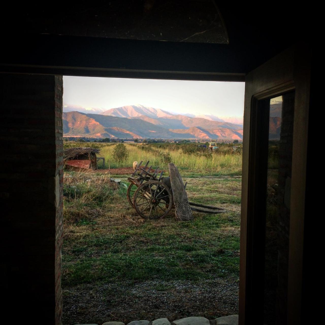 Mestvireni Telawi Exterior foto