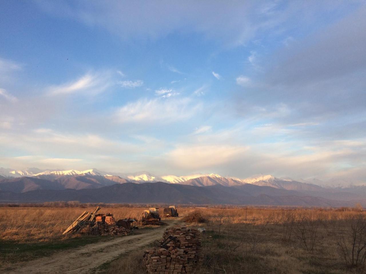 Mestvireni Telawi Exterior foto