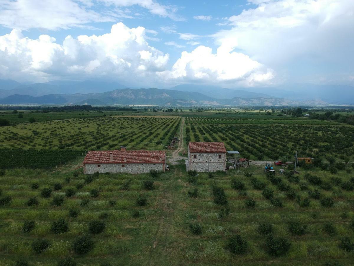 Mestvireni Telawi Exterior foto